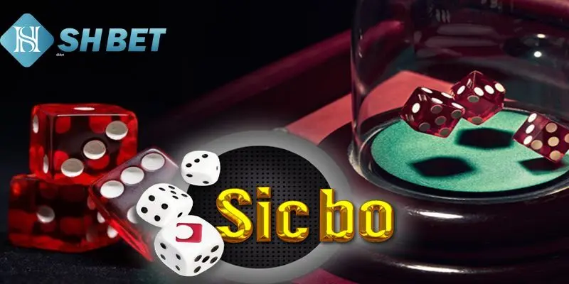 Thao tác chơi game Sicbo tại nhà cái