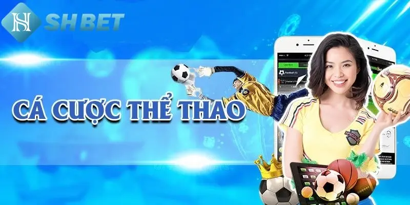 Top bộ môn cá cược hot nhất