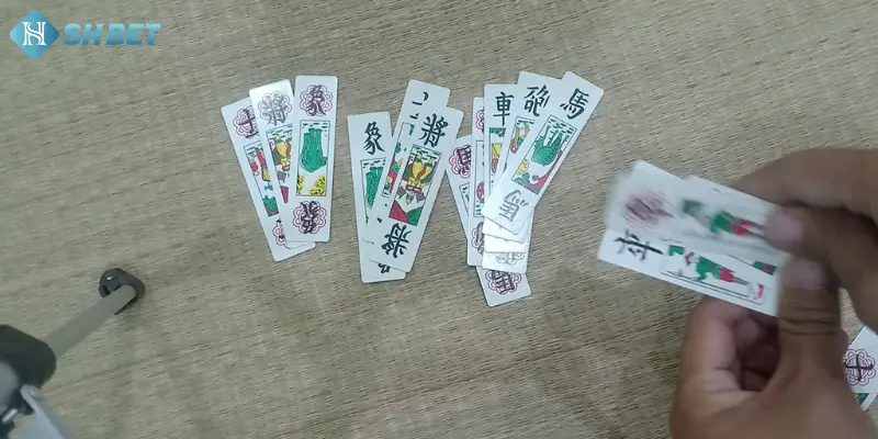 Tìm hiểu vài nét tổng quan về bài Tam cúc